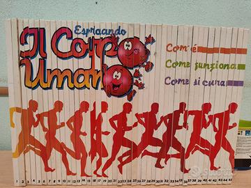 Esplorando il corpo umano