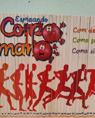 Esplorando il corpo umano