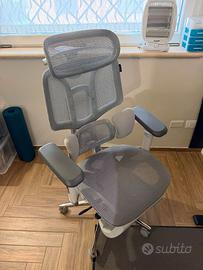 Sedia ergonomica HBADA E3 PRO + Braccioli E3 ULTRA