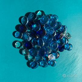 Veroniche blu/azzurro