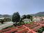 Immagine 23