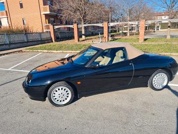 alfa romeo gtv spider