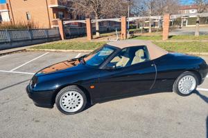 alfa romeo gtv spider