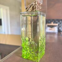 Profumo mojito obsession by gulf orchid