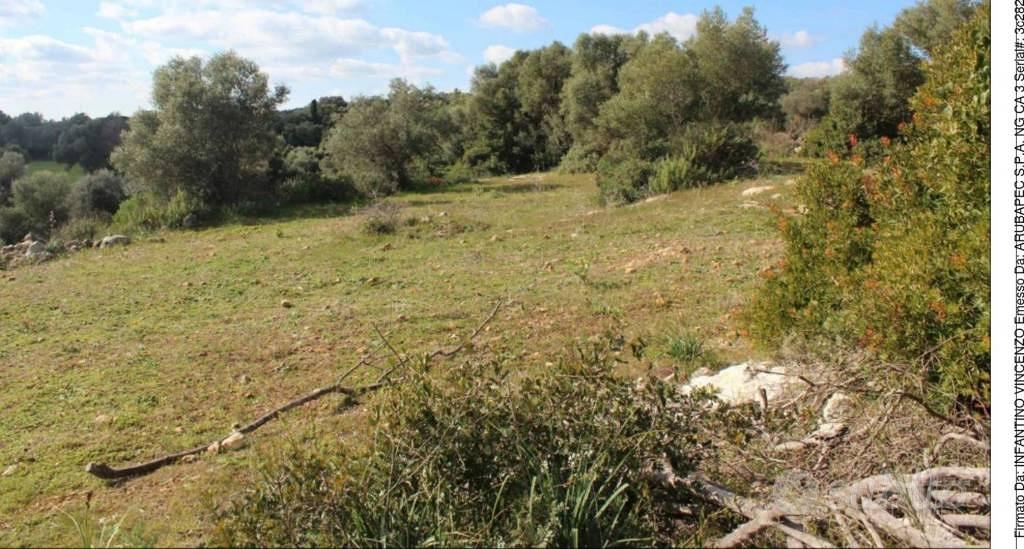 Immobile in asta di 62707 m² a Noto - Vista 3