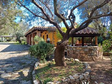 Vacanze tra gli ulivi