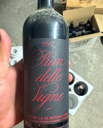 Vino brunello di montalcino