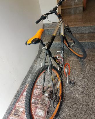 Mountain bike