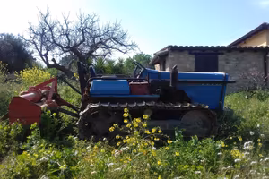 TRATTORE CINGOLATO LANDINI 6830