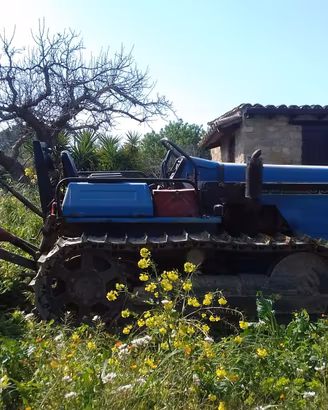 TRATTORE CINGOLATO LANDINI 6830