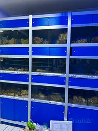 Strutture acquario