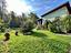 Immagine 25