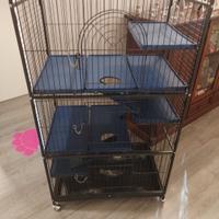 gabbia per piccoli Roditori e volatili