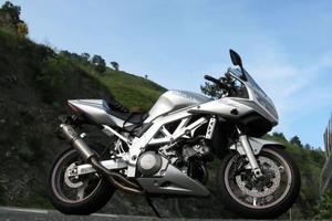 Suzuki SV1000S