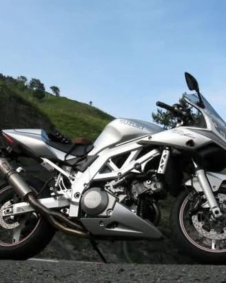 Suzuki SV1000S
