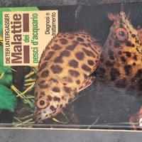 malattie dei pesci dacquario 