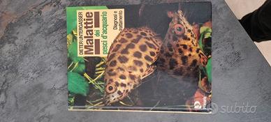 malattie dei pesci dacquario 