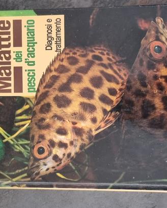 malattie dei pesci dacquario 
