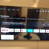 TV 55 pollici nuovissima