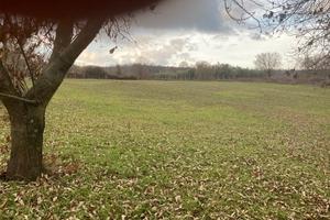 Terreno agricolo pianeggiante