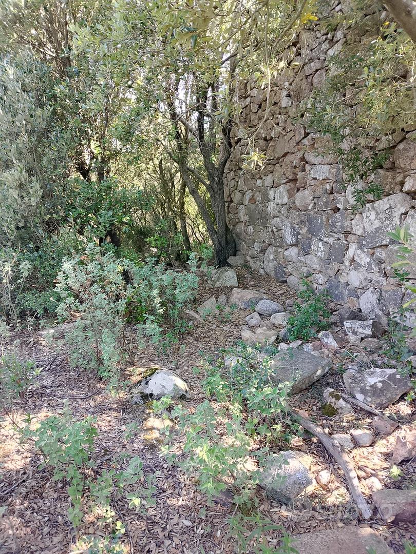 Terreno panoramico con rudere Gallurese - Vista 5