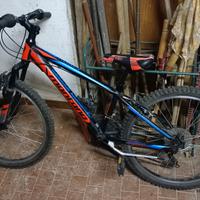 Mountain bike MONTANA bambino/a