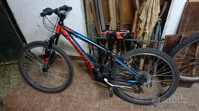 Mountain bike MONTANA bambino/a