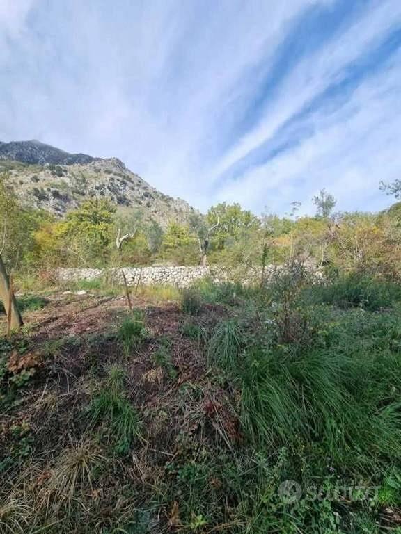 Terreno di 2000 m² a Ausonia - Vista 2