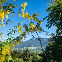 Appartamento sull'Altopiano di Asiago