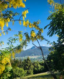 Appartamento sull'Altopiano di Asiago
