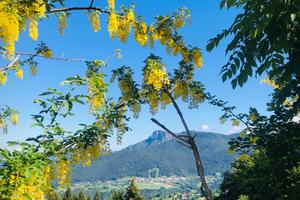 Appartamento sull'Altopiano di Asiago