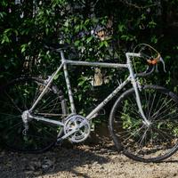 Alan Campagnolo Nuovo Record TG 52