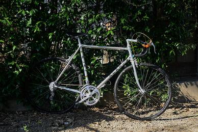 Alan Campagnolo Nuovo Record TG 52