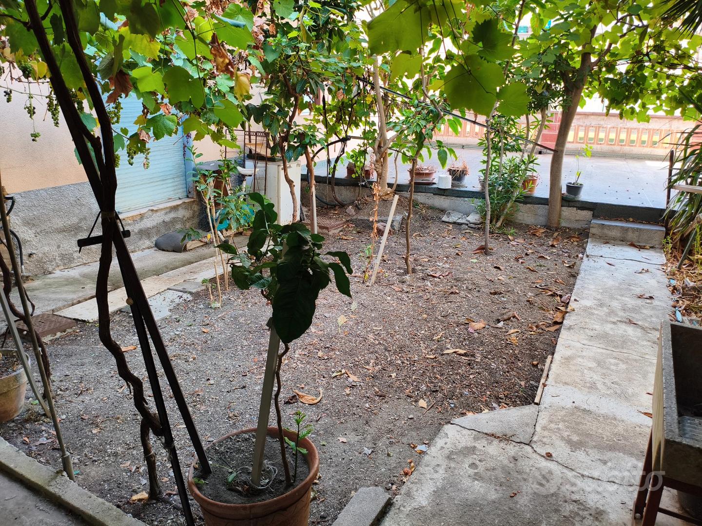 Appartamento – Brolo, Piana, Fosso Gelso - Vista 4