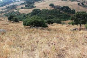 RGE 41/2006 Trib ENNA(EX NICOSIA) - LOTTO 8