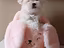Immagine 19