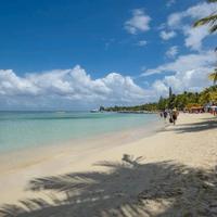 Roatán: Mango Jungle Lodge & Catamaran Business
