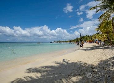 Roatán: Mango Jungle Lodge & Catamaran Business