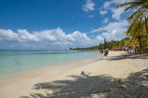 Roatán: Mango Jungle Lodge & Catamaran Business