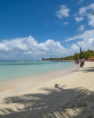 Roatán: Mango Jungle Lodge & Catamaran Business