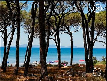 Salciaina 200 metri dal mare