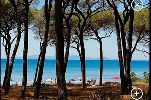 Salciaina 200 metri dal mare