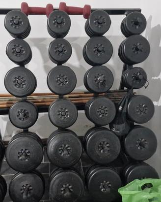 rastrelliera con pesi e bilancieri più panca