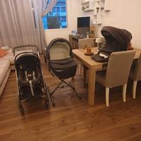 Trio INGLESINA Trilogy Plus