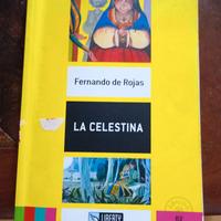 Libro in spagnolo