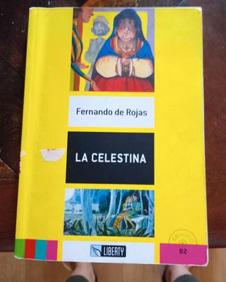 Libro in spagnolo