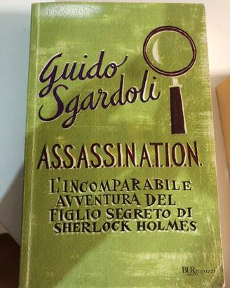 Assassination di Guido Sgardoli