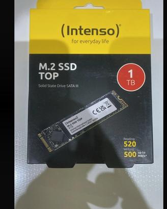 Intenso m2 sata 1 tb