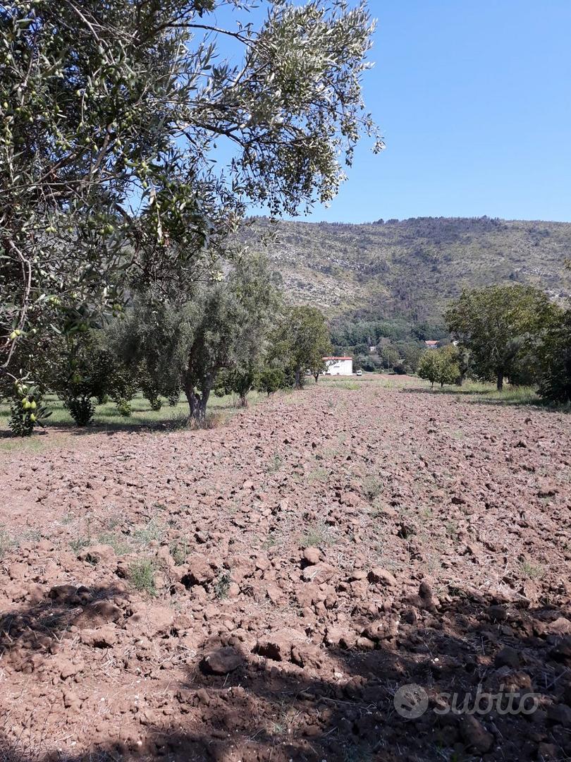 Terreno agricolo 4897 mq - bellona - Vista 5