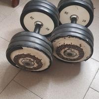 COPPIA MANUBRI TECHNOGYM DA 28KG